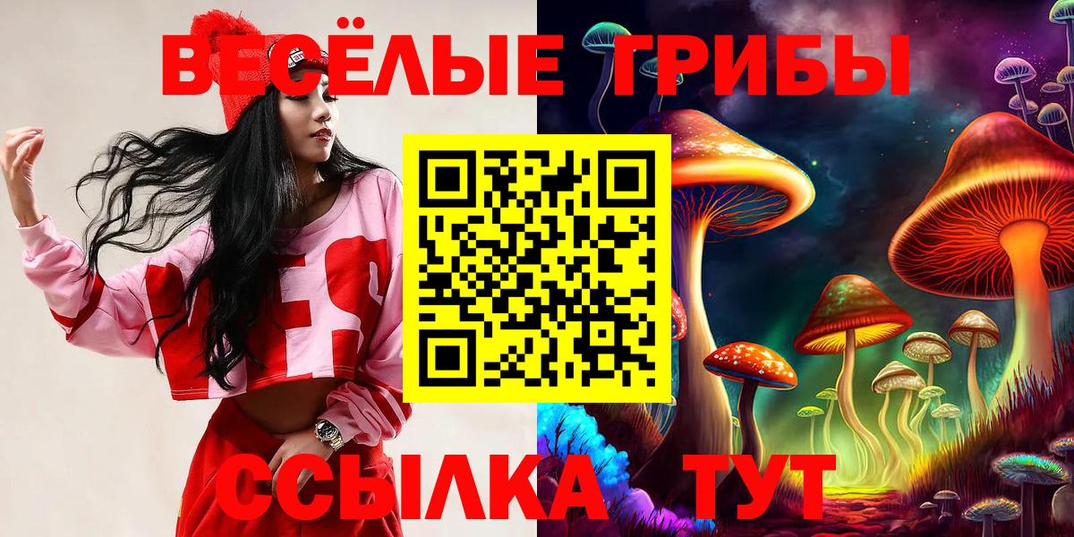 Галлюциногенные грибы Psilocybine cubensis Крымск