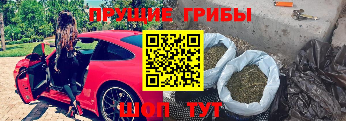 цена   Галлюциногенные грибы Cubensis  Крымск  Вход с VPN  Галлюциногенные грибы Magic Shrooms 